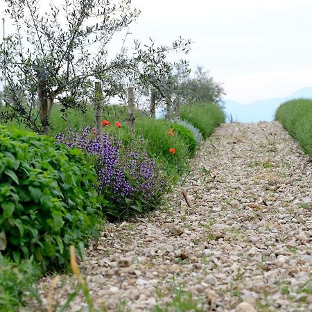 Agriturismo2Laghi Ponti sul Mincio Eksteriør billede