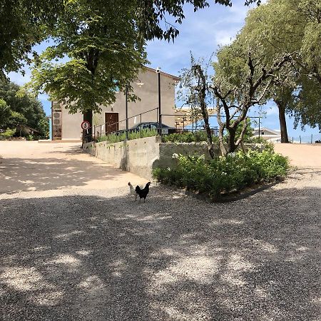 Agriturismo2Laghi Ponti sul Mincio Eksteriør billede