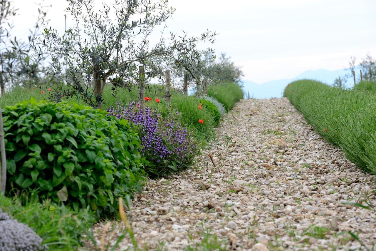 Agriturismo2Laghi Ponti sul Mincio Eksteriør billede